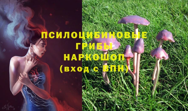 марки nbome Горняк