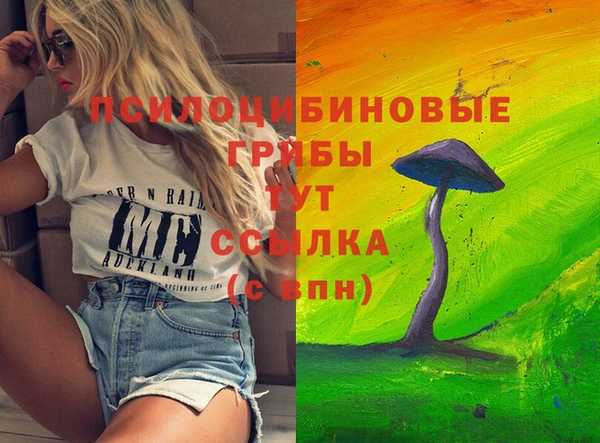 спиды Волоколамск