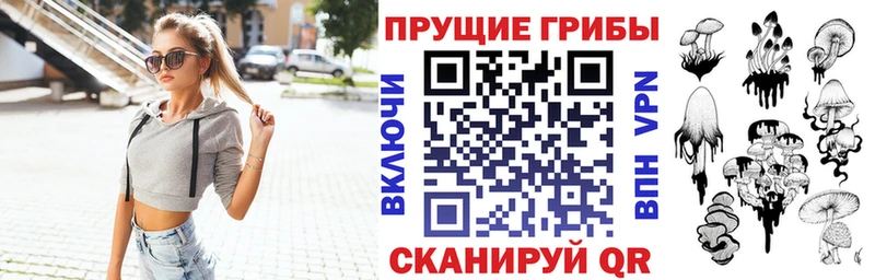 Галлюциногенные грибы MAGIC MUSHROOMS  сайты даркнета как зайти  Игарка 